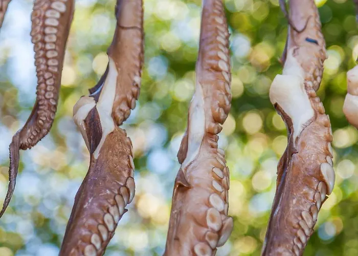 Beautiful Santorini 2 Bedrooms Elite Amazing Sea Views * Oia (Santorini)